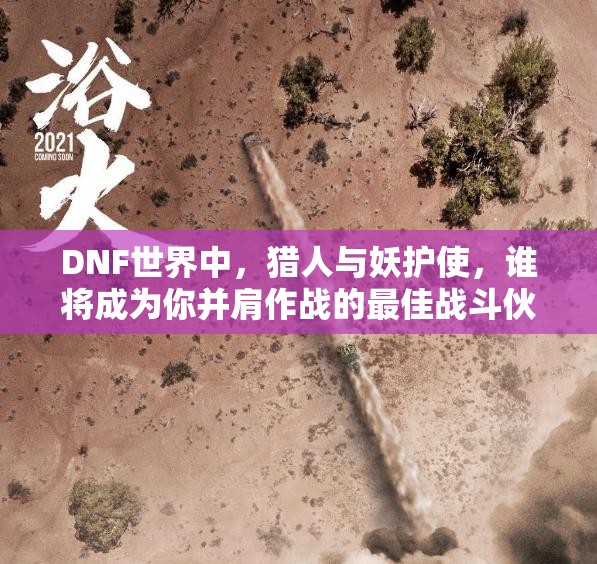 DNF世界中，猎人与妖护使，谁将成为你并肩作战的最佳战斗伙伴？