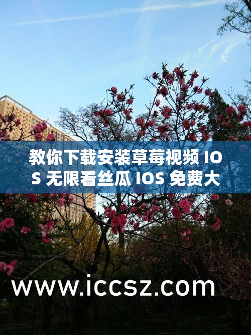 教你下载安装草莓视频 IOS 无限看丝瓜 IOS 免费大全