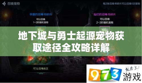 地下城与勇士起源宠物获取途径全攻略详解