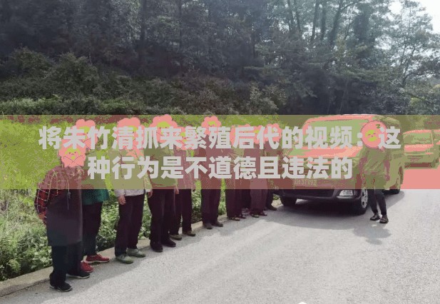 将朱竹清抓来繁殖后代的视频：这种行为是不道德且违法的