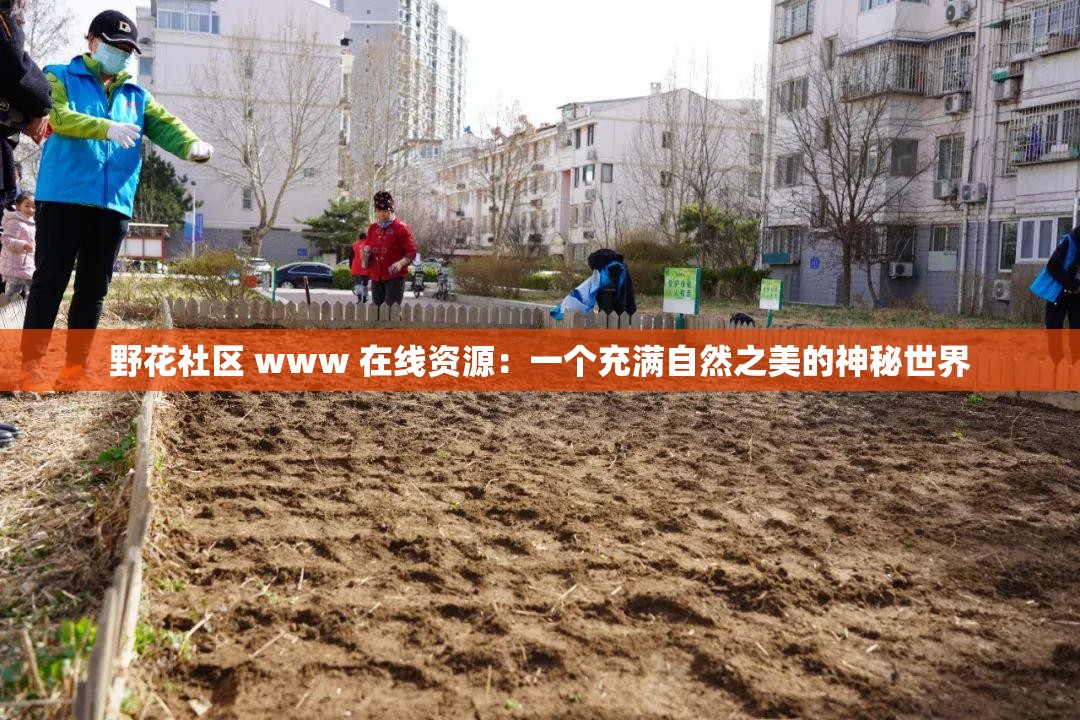 野花社区 www 在线资源：一个充满自然之美的神秘世界
