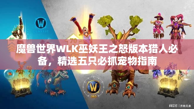 魔兽世界WLK巫妖王之怒版本猎人必备，精选五只必抓宠物指南