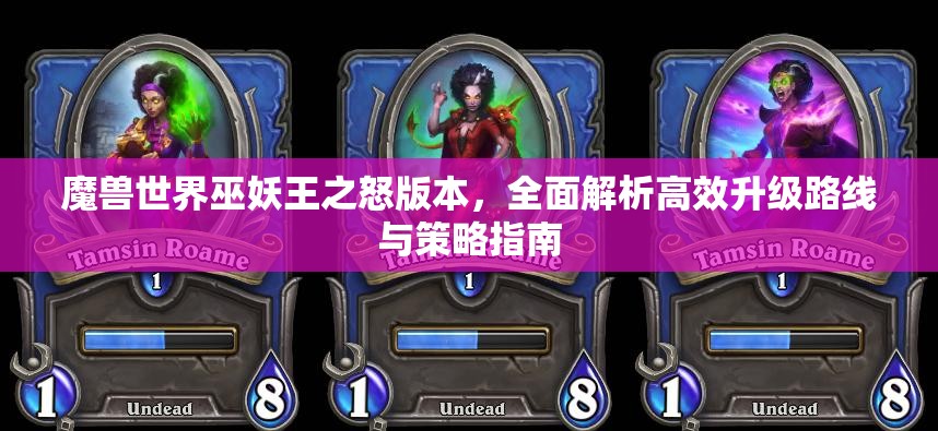 魔兽世界巫妖王之怒版本，全面解析高效升级路线与策略指南