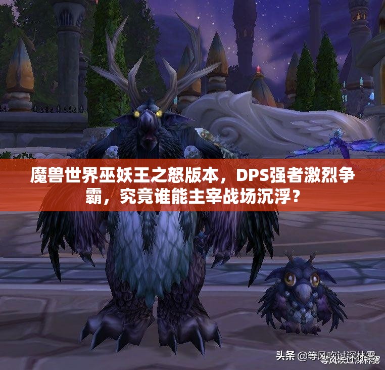 魔兽世界巫妖王之怒版本，DPS强者激烈争霸，究竟谁能主宰战场沉浮？