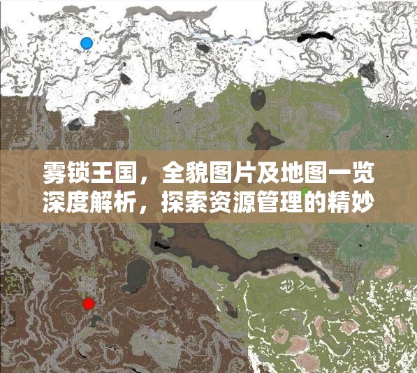 雾锁王国，全貌图片及地图一览深度解析，探索资源管理的精妙艺术