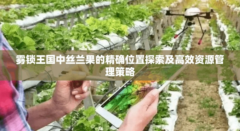 雾锁王国中丝兰果的精确位置探索及高效资源管理策略