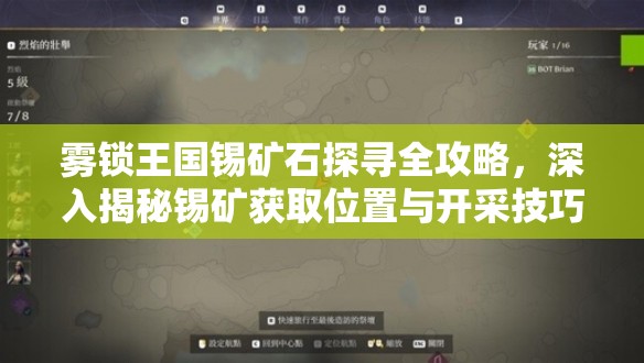 雾锁王国锡矿石探寻全攻略，深入揭秘锡矿获取位置与开采技巧