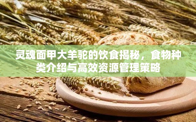 灵魂面甲大羊驼的饮食揭秘，食物种类介绍与高效资源管理策略