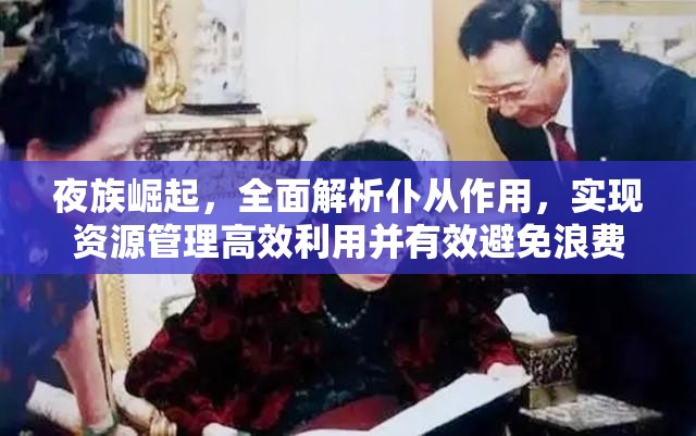 夜族崛起，全面解析仆从作用，实现资源管理高效利用并有效避免浪费