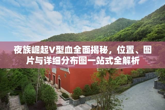 夜族崛起V型血全面揭秘，位置、图片与详细分布图一站式全解析