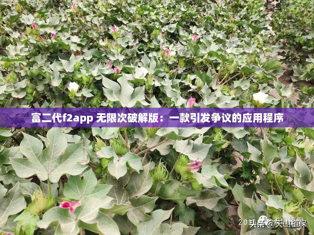 富二代f2app 无限次破解版：一款引发争议的应用程序