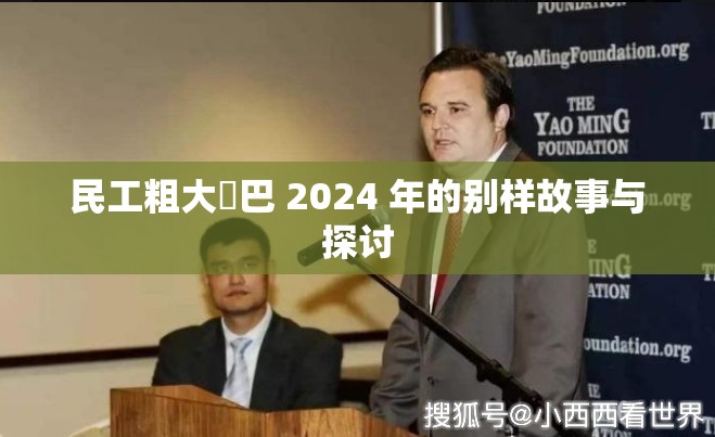 民工粗大鳮巴 2024 年的别样故事与探讨