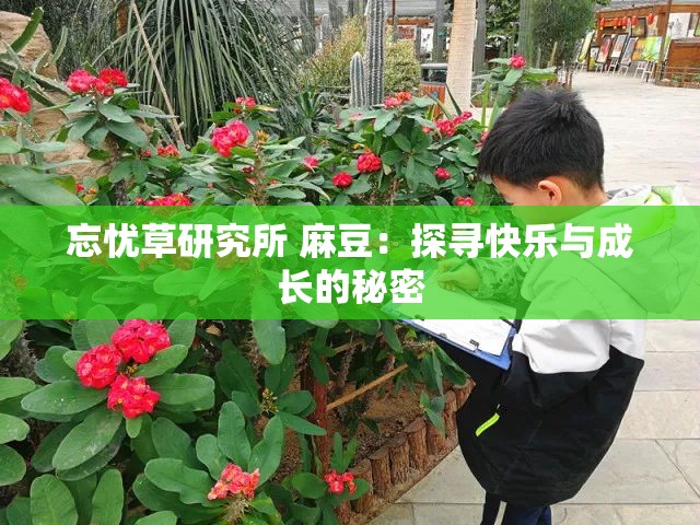 忘忧草研究所 麻豆：探寻快乐与成长的秘密