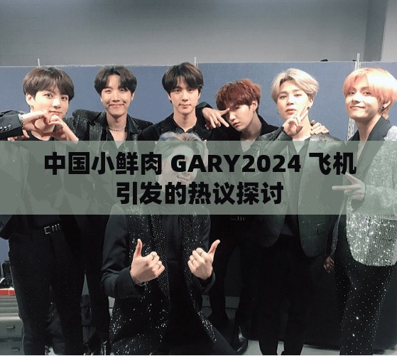 中国小鲜肉 GARY2024 飞机引发的热议探讨