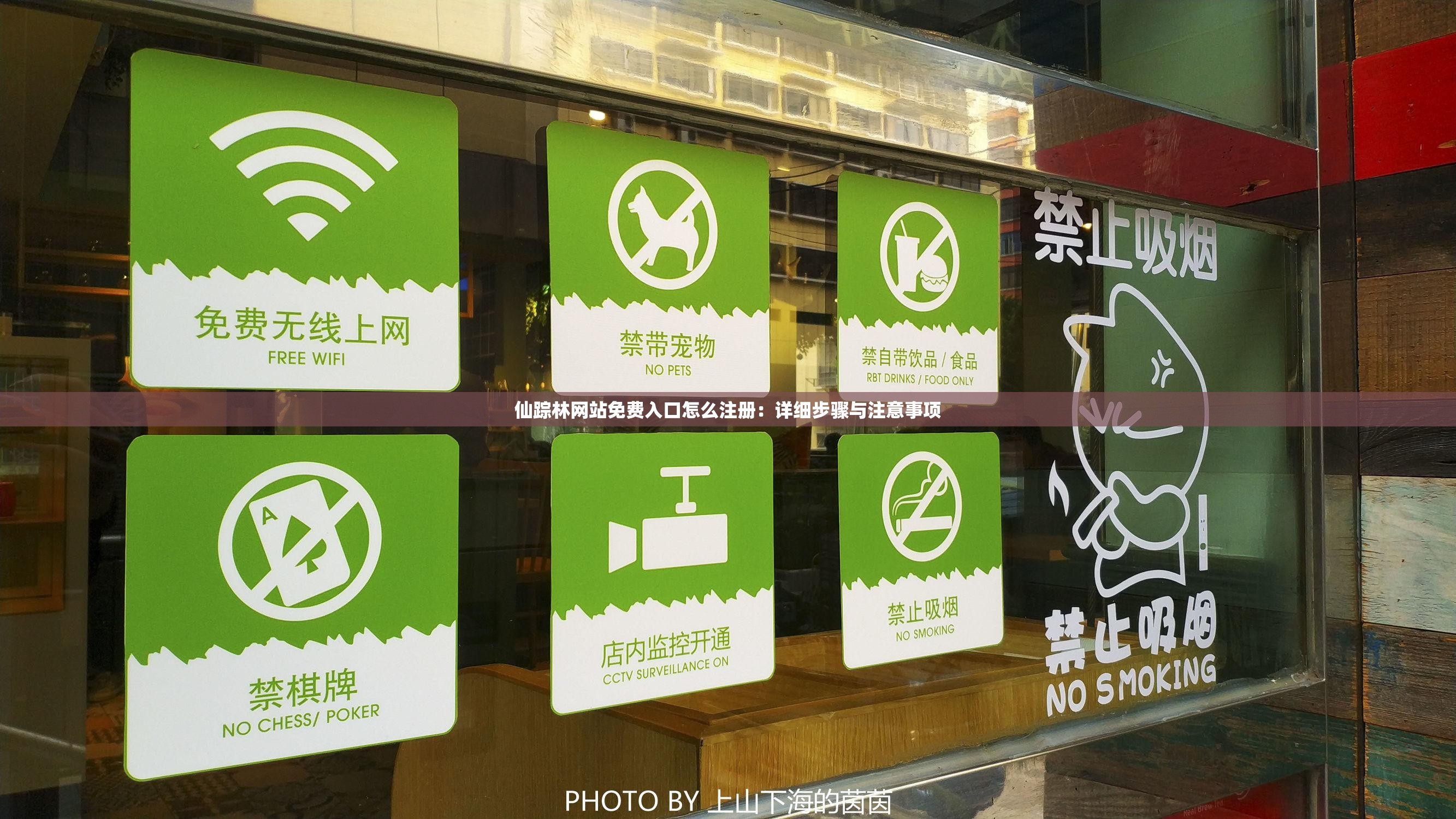 仙踪林网站免费入口怎么注册：详细步骤与注意事项