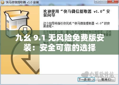 九幺 9.1 无风险免费版安装：安全可靠的选择