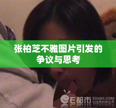 张柏芝不雅图片引发的争议与思考