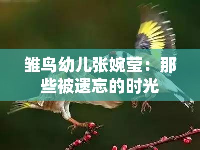 雏鸟幼儿张婉莹：那些被遗忘的时光