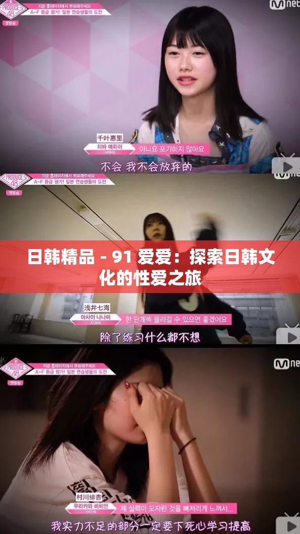 日韩精品 - 91 爱爱：探索日韩文化的性爱之旅