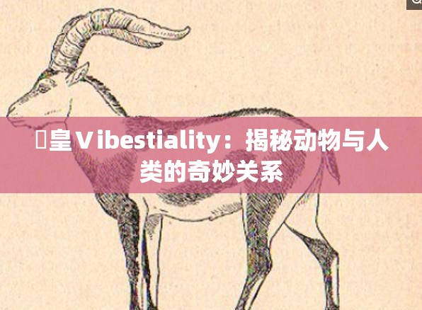 嘼皇Ⅴibestiality：揭秘动物与人类的奇妙关系