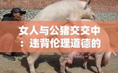女人与公猪交交中：违背伦理道德的禁忌行为