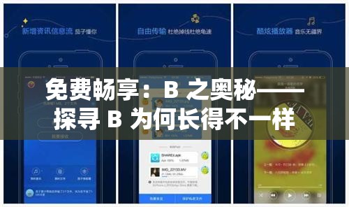 免费畅享：B 之奥秘——探寻 B 为何长得不一样