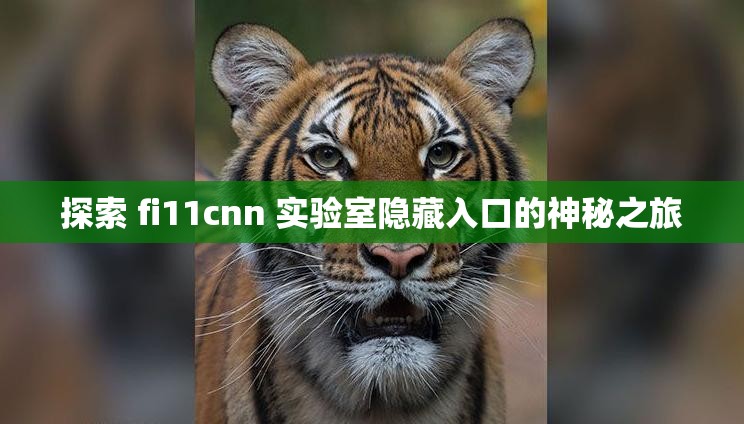 探索 fi11cnn 实验室隐藏入口的神秘之旅