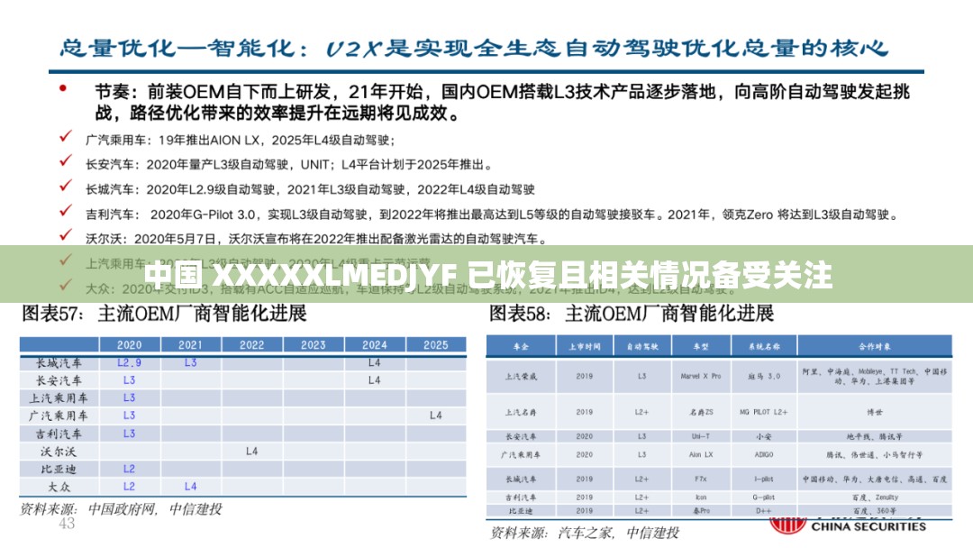 中国 XXXXXLMEDJYF 已恢复且相关情况备受关注