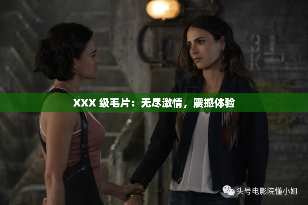XXX 级毛片：无尽激情，震撼体验