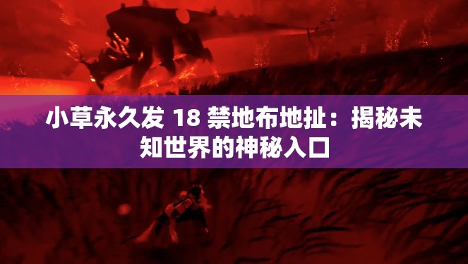 小草永久发 18 禁地布地扯：揭秘未知世界的神秘入口