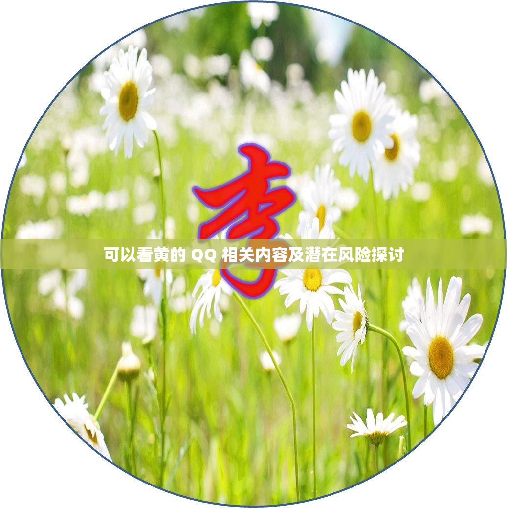 可以看黄的 QQ 相关内容及潜在风险探讨