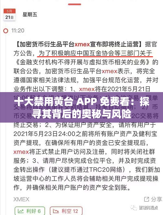 十大禁用黄台 APP 免费看：探寻其背后的奥秘与风险