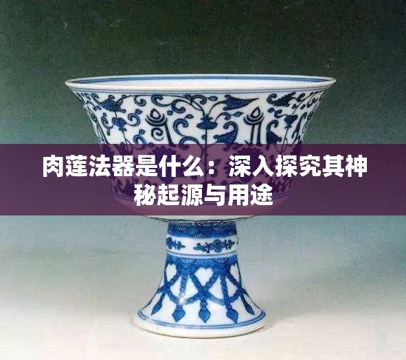 肉莲法器是什么：深入探究其神秘起源与用途