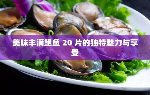 美味丰满鲍鱼 20 片的独特魅力与享受