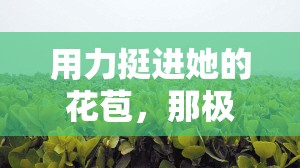 用力挺进她的花苞，那极致的深入与快感