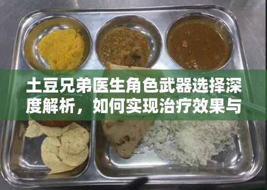 土豆兄弟医生角色武器选择深度解析，如何实现治疗效果与输出能力的双重提升