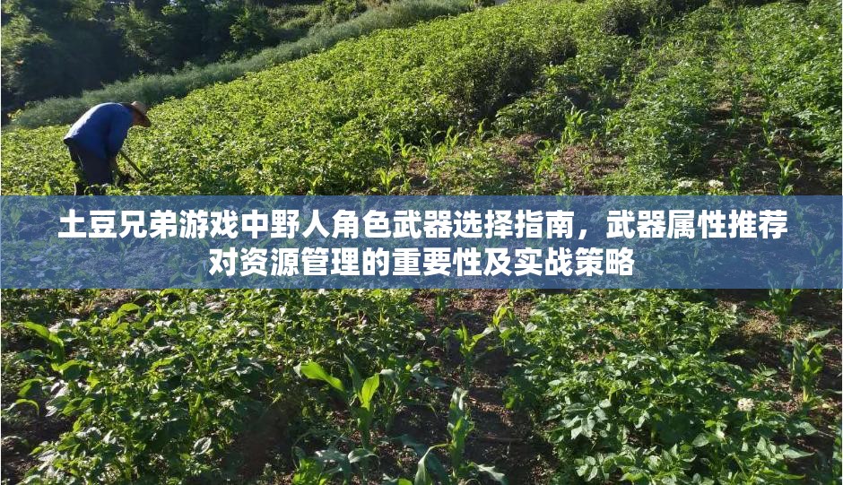 土豆兄弟游戏中野人角色武器选择指南，武器属性推荐对资源管理的重要性及实战策略
