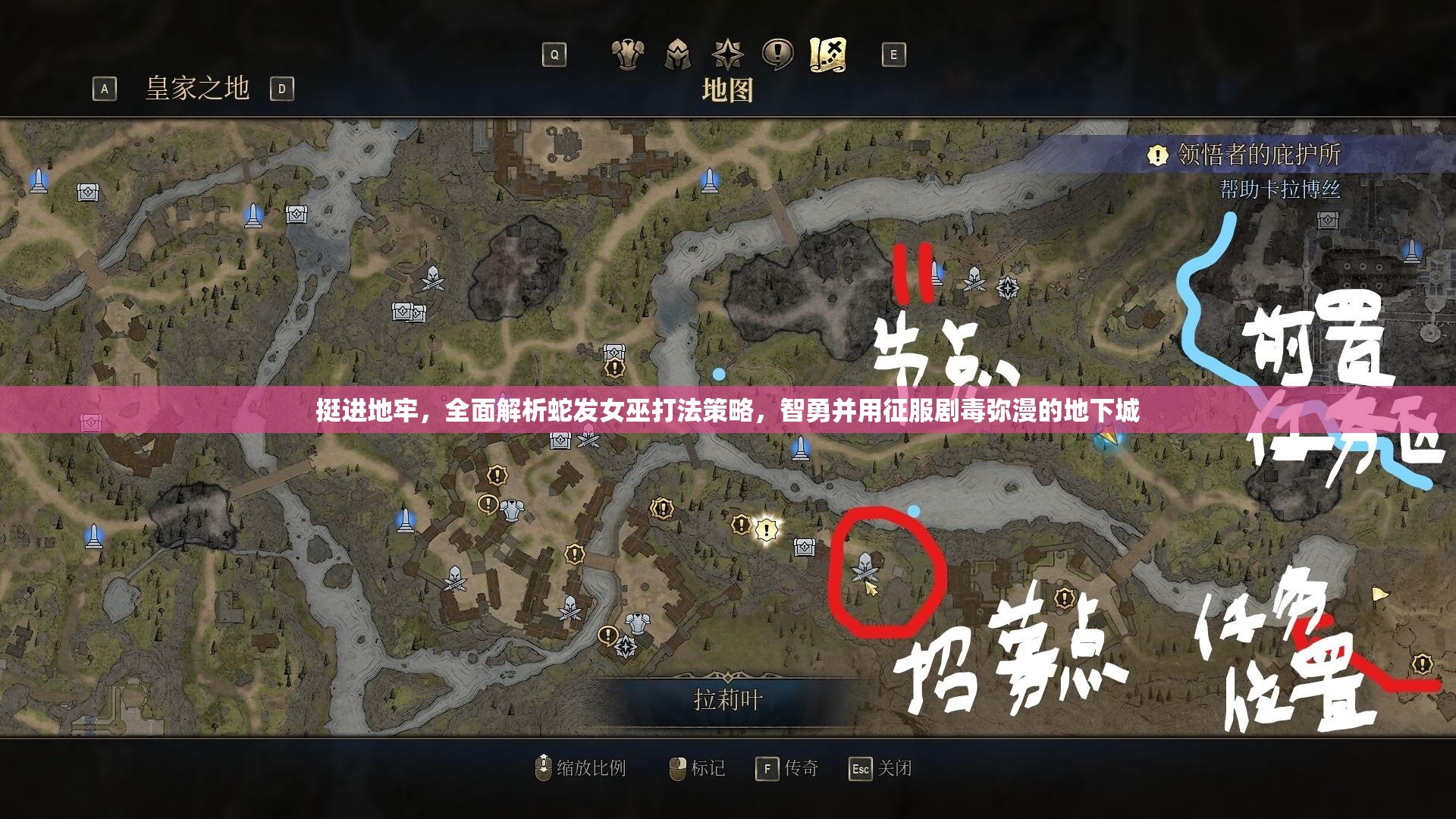 挺进地牢，全面解析蛇发女巫打法策略，智勇并用征服剧毒弥漫的地下城