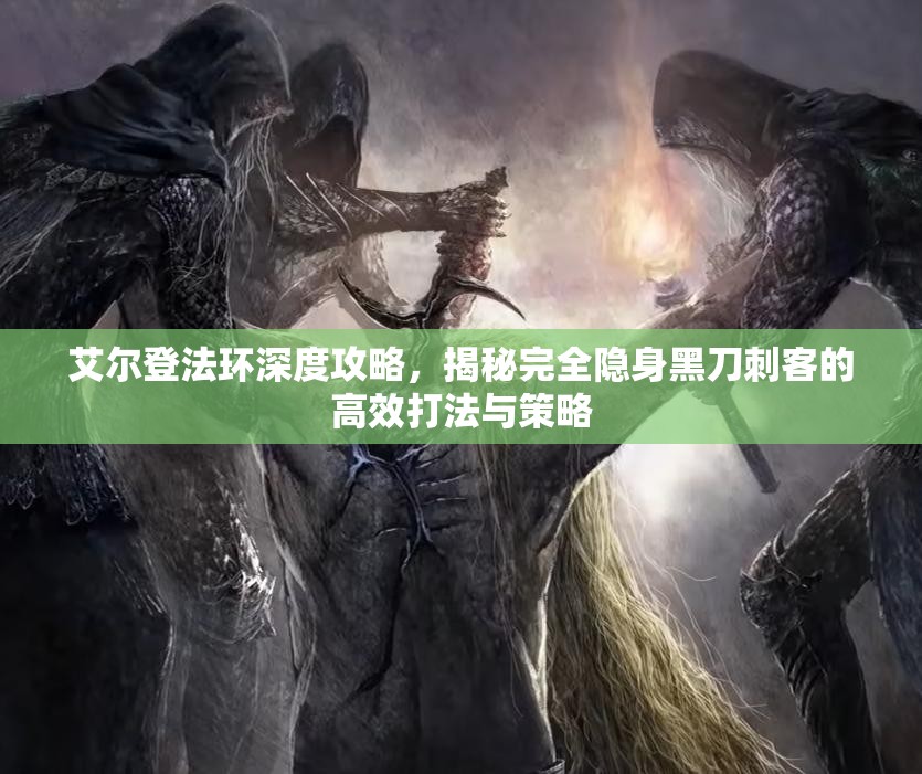 艾尔登法环深度攻略，揭秘完全隐身黑刀刺客的高效打法与策略