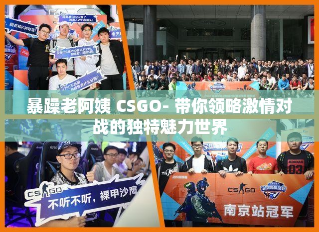 暴躁老阿姨 CSGO- 带你领略激情对战的独特魅力世界