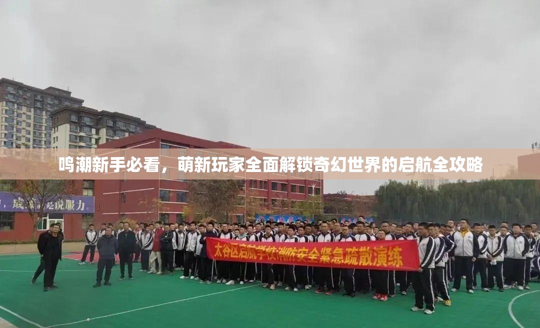 鸣潮新手必看，萌新玩家全面解锁奇幻世界的启航全攻略