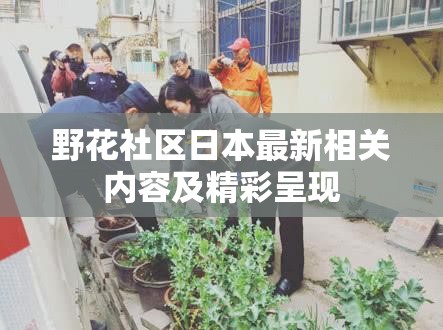 野花社区日本最新相关内容及精彩呈现