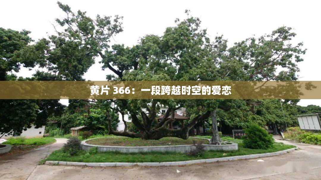 黄片 366：一段跨越时空的爱恋