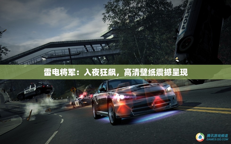 雷电将军：入夜狂飙，高清壁纸震撼呈现