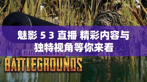 魅影 5 3 直播 精彩内容与独特视角等你来看