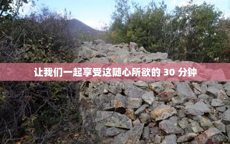 让我们一起享受这随心所欲的 30 分钟