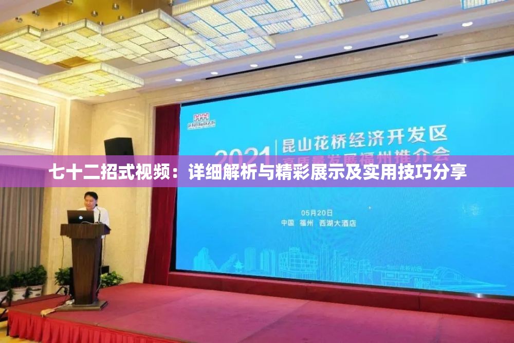 七十二招式视频：详细解析与精彩展示及实用技巧分享