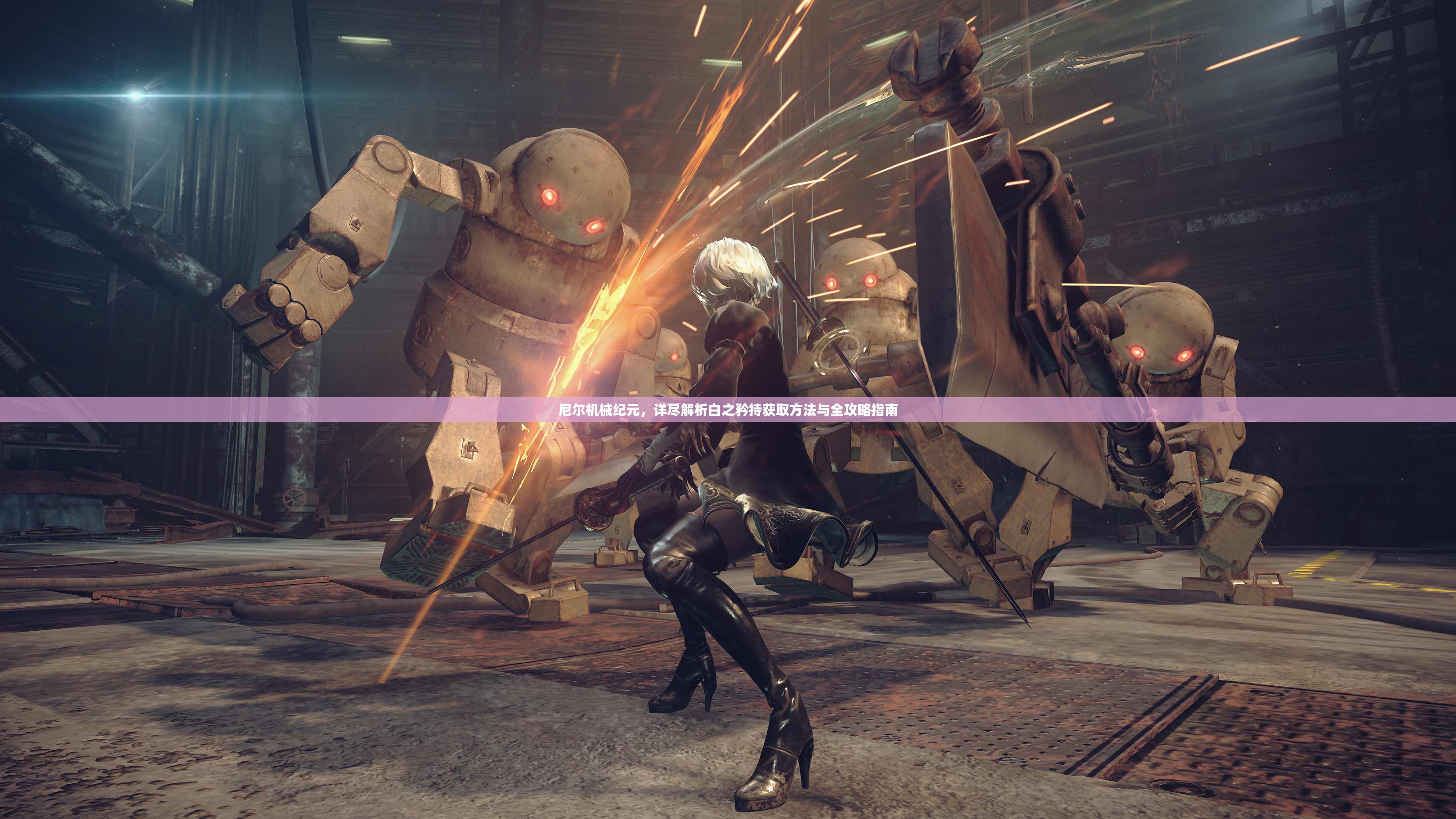 尼尔机械纪元，详尽解析白之矜持获取方法与全攻略指南