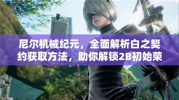 尼尔机械纪元，全面解析白之契约获取方法，助你解锁2B初始荣耀之路