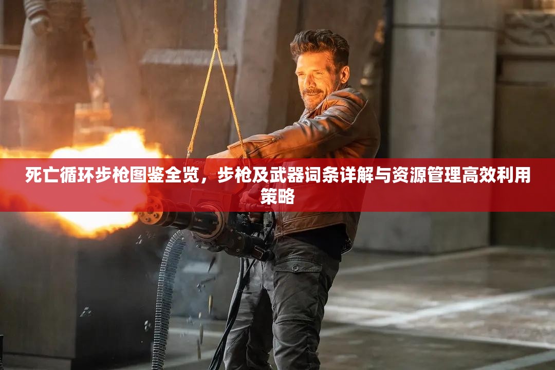 死亡循环步枪图鉴全览，步枪及武器词条详解与资源管理高效利用策略